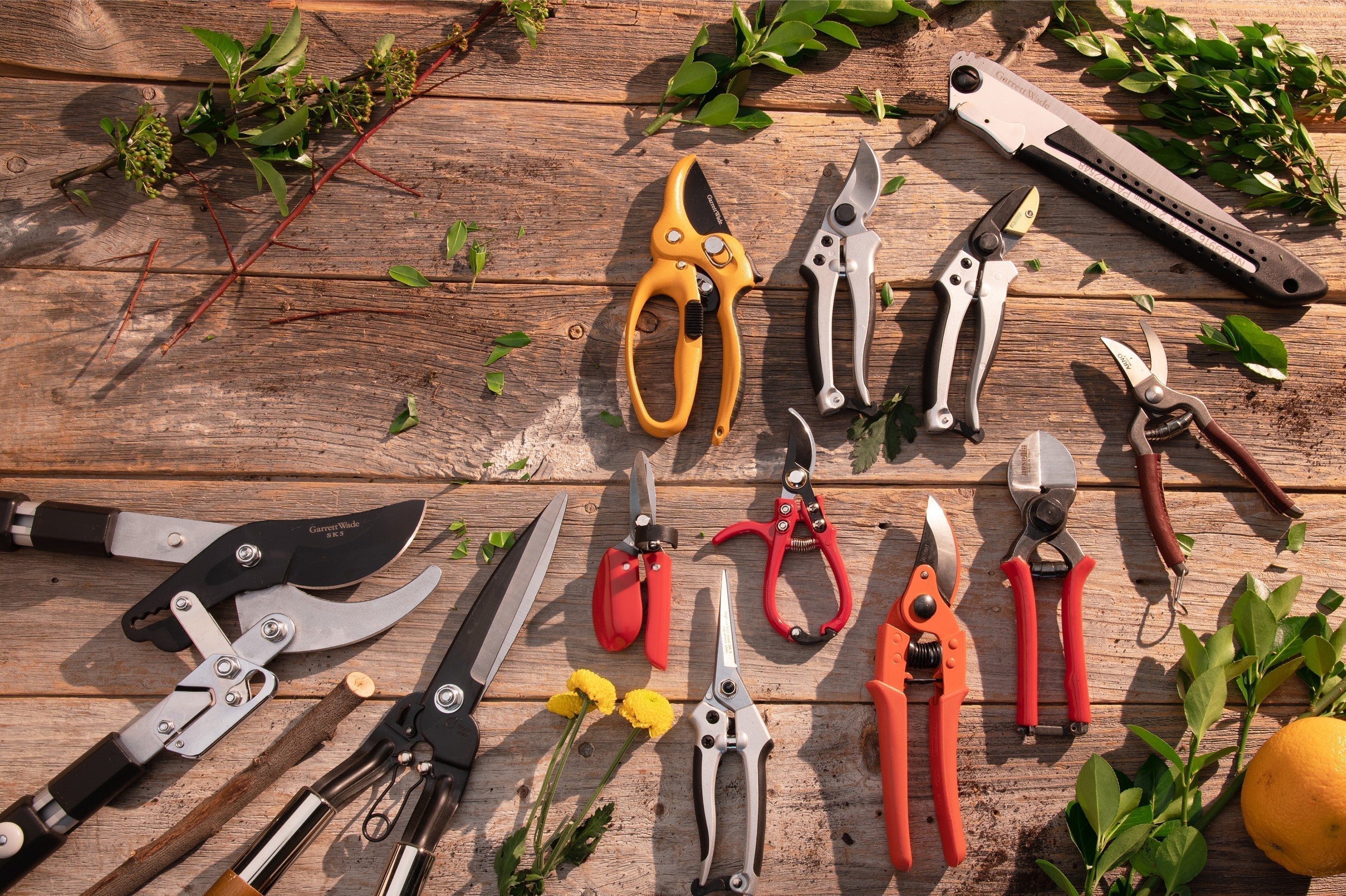 The Garrett Wade Pruning Guide