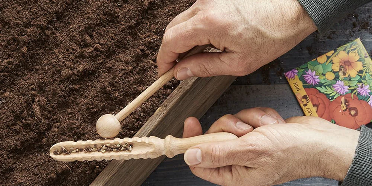 The Seed-Starter's Dispatch: What to Sow Right Now in the Northeast