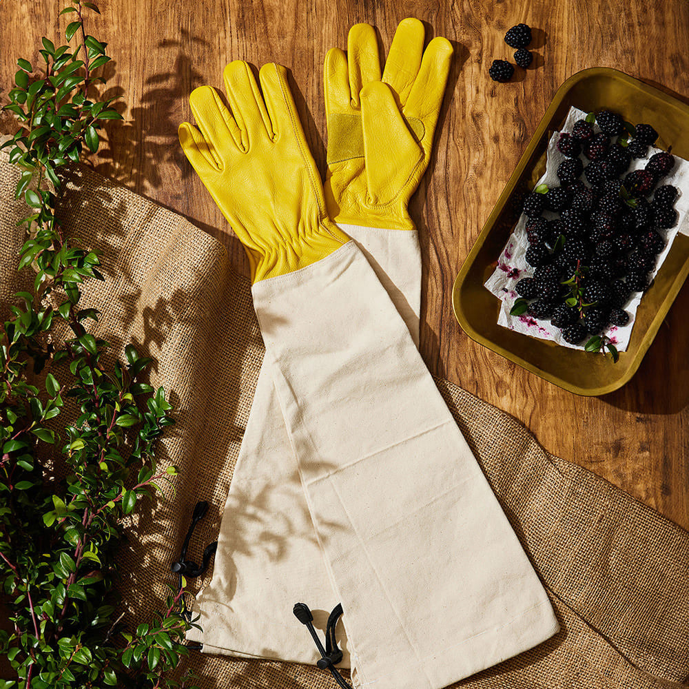 Heavy-Duty Bramble Gloves With Integrated Arm Guards - Small