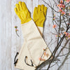 Heavy-Duty Bramble Gloves With Integrated Arm Guards - Medium