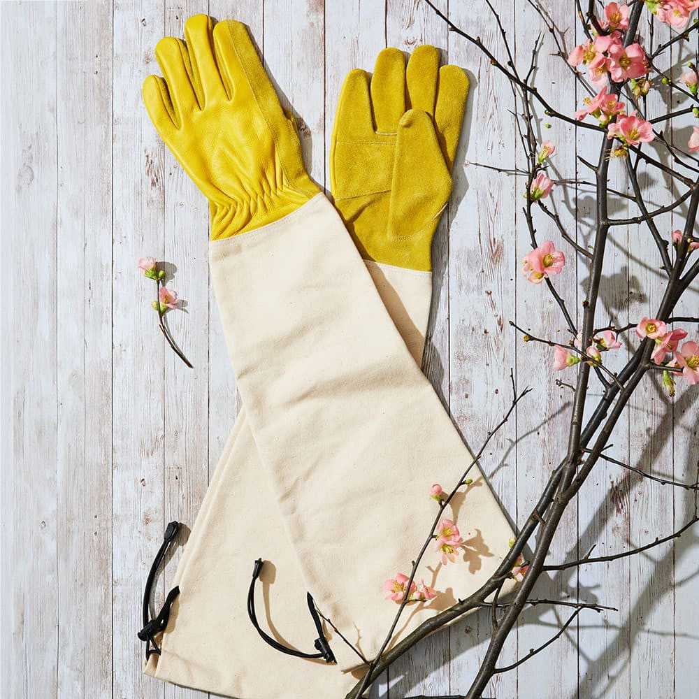 Heavy-Duty Bramble Gloves With Integrated Arm Guards