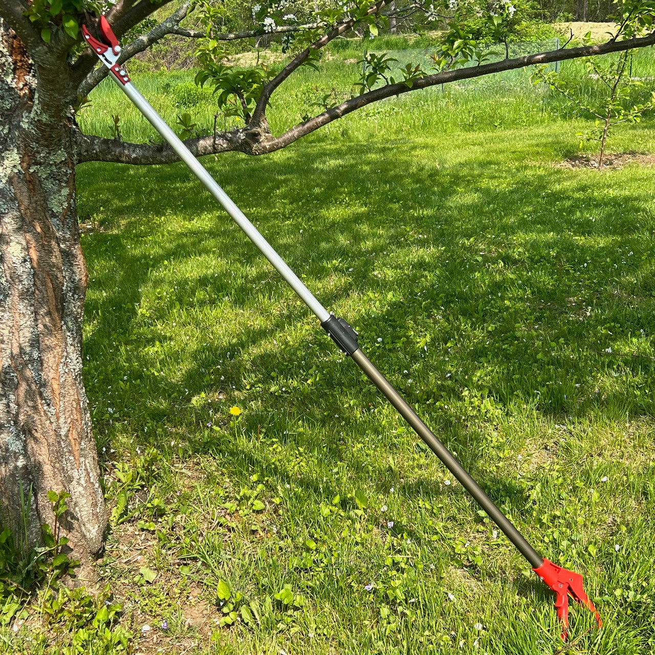 Extendable long reach pruner