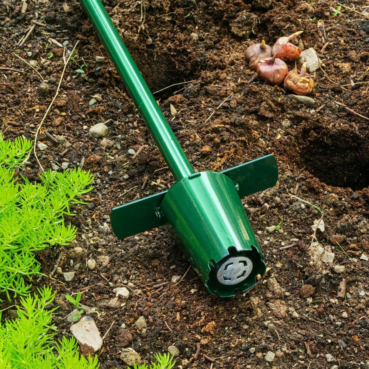 plastic bulb planter Stand-up Bulb Planter
