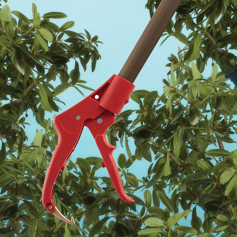 Long Reach Pruner (Extends to 1.5 meters)