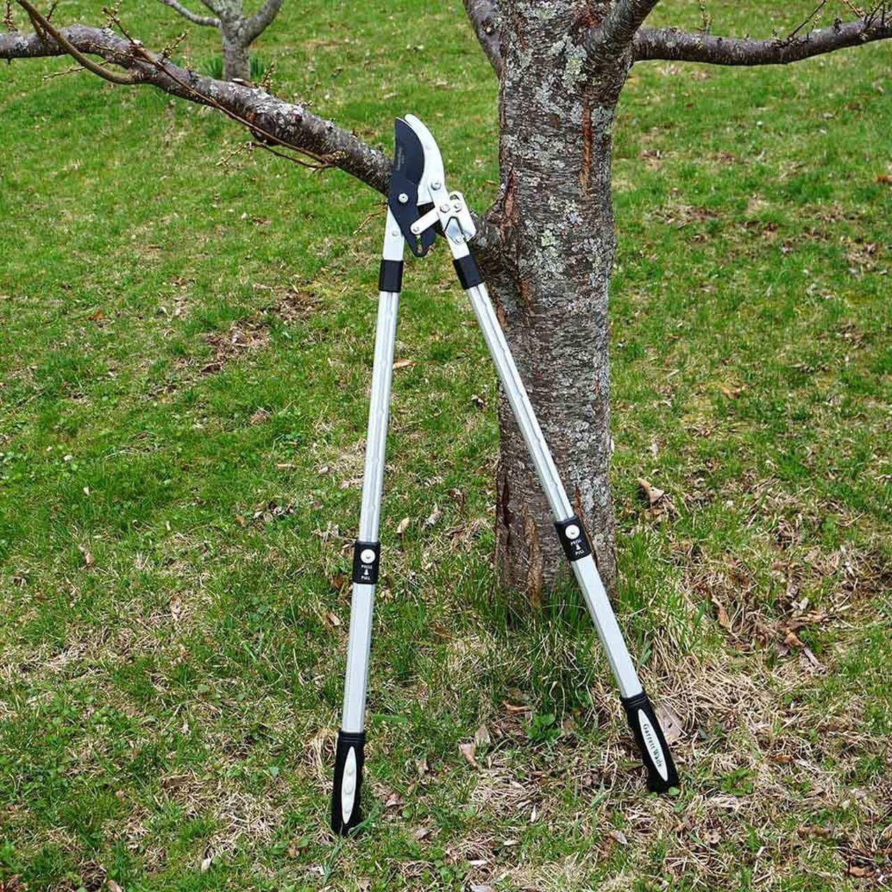 Premium Ratcheting Pruning Loppers