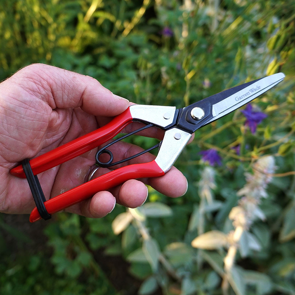 Spring-Loaded Long-Nose Fruit Scissor
