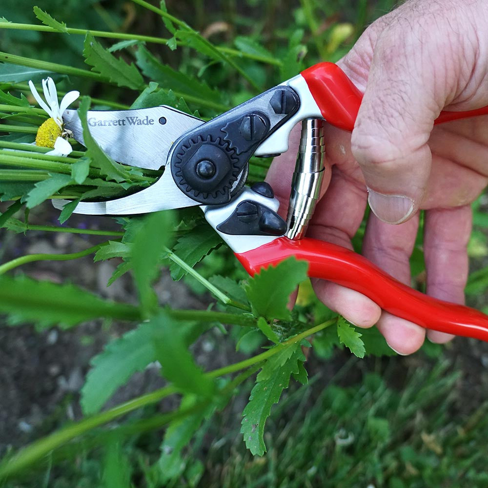 Everyday Go-To Pruners