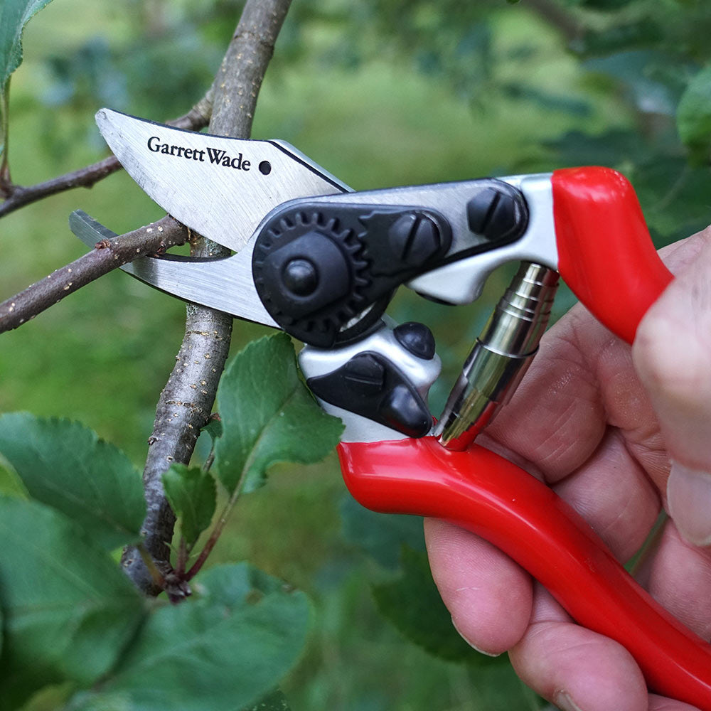 Everyday Go-To Pruners