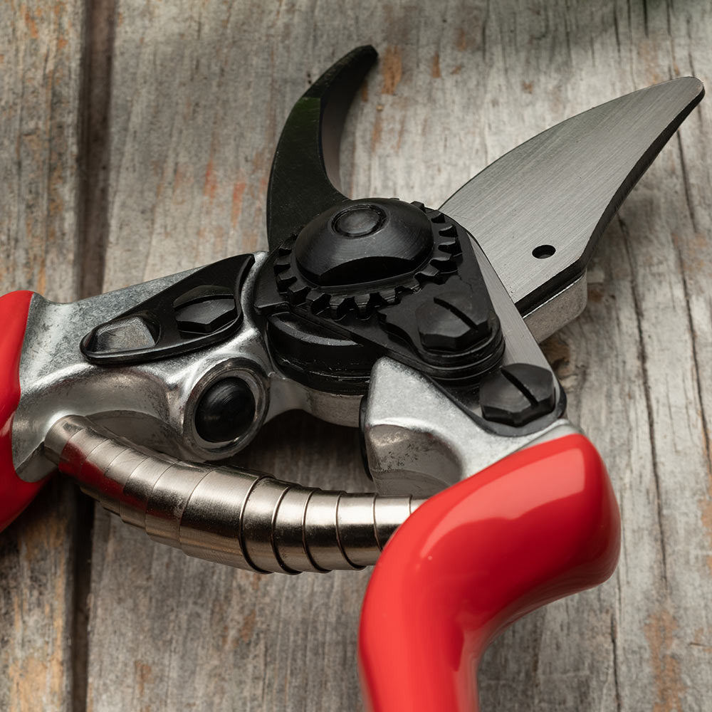 Everyday Go-To Pruners