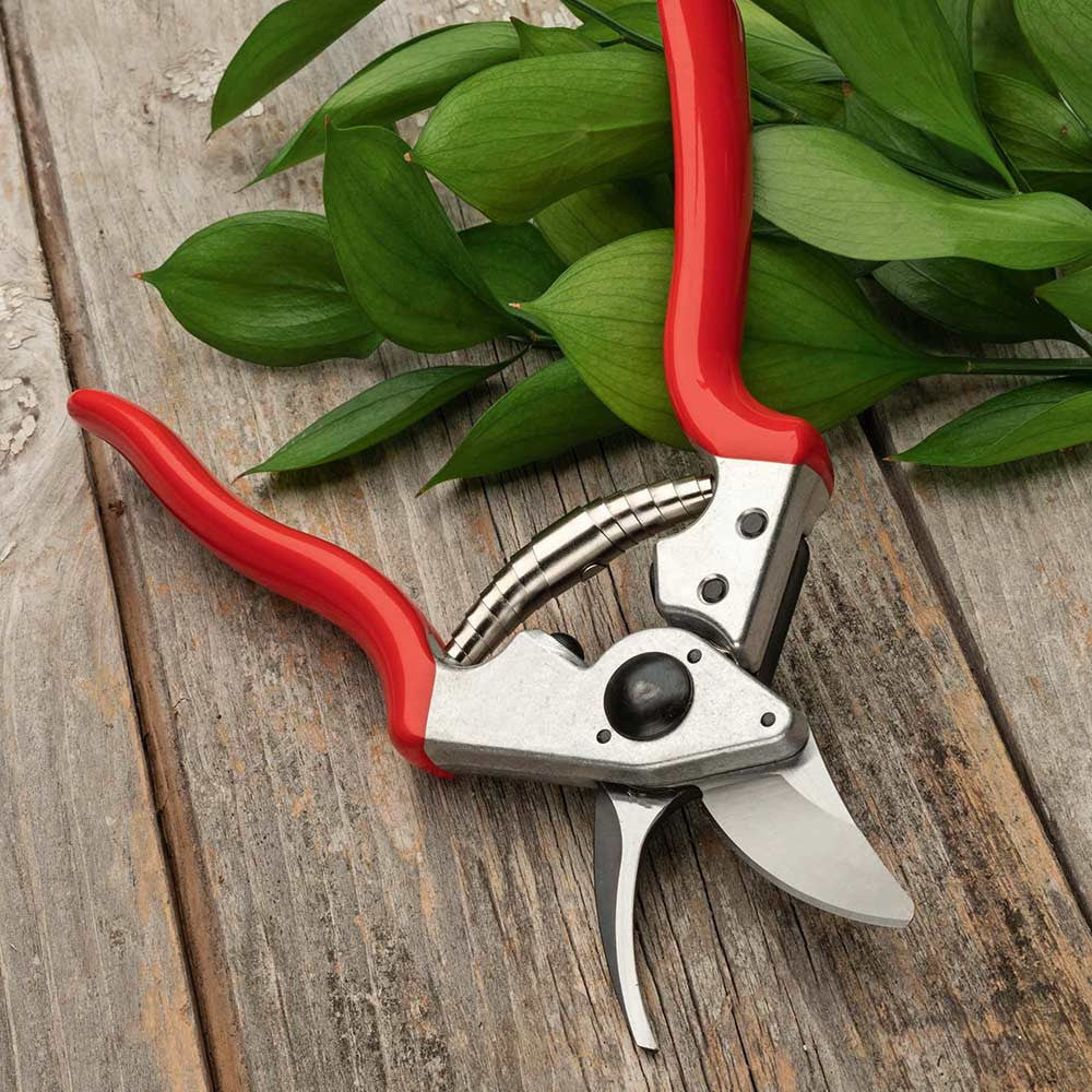 Everyday Go-To Pruners