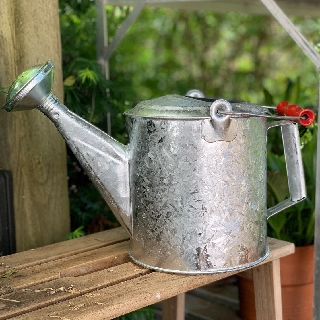 Galvanized Watering Can with Wooden Handle