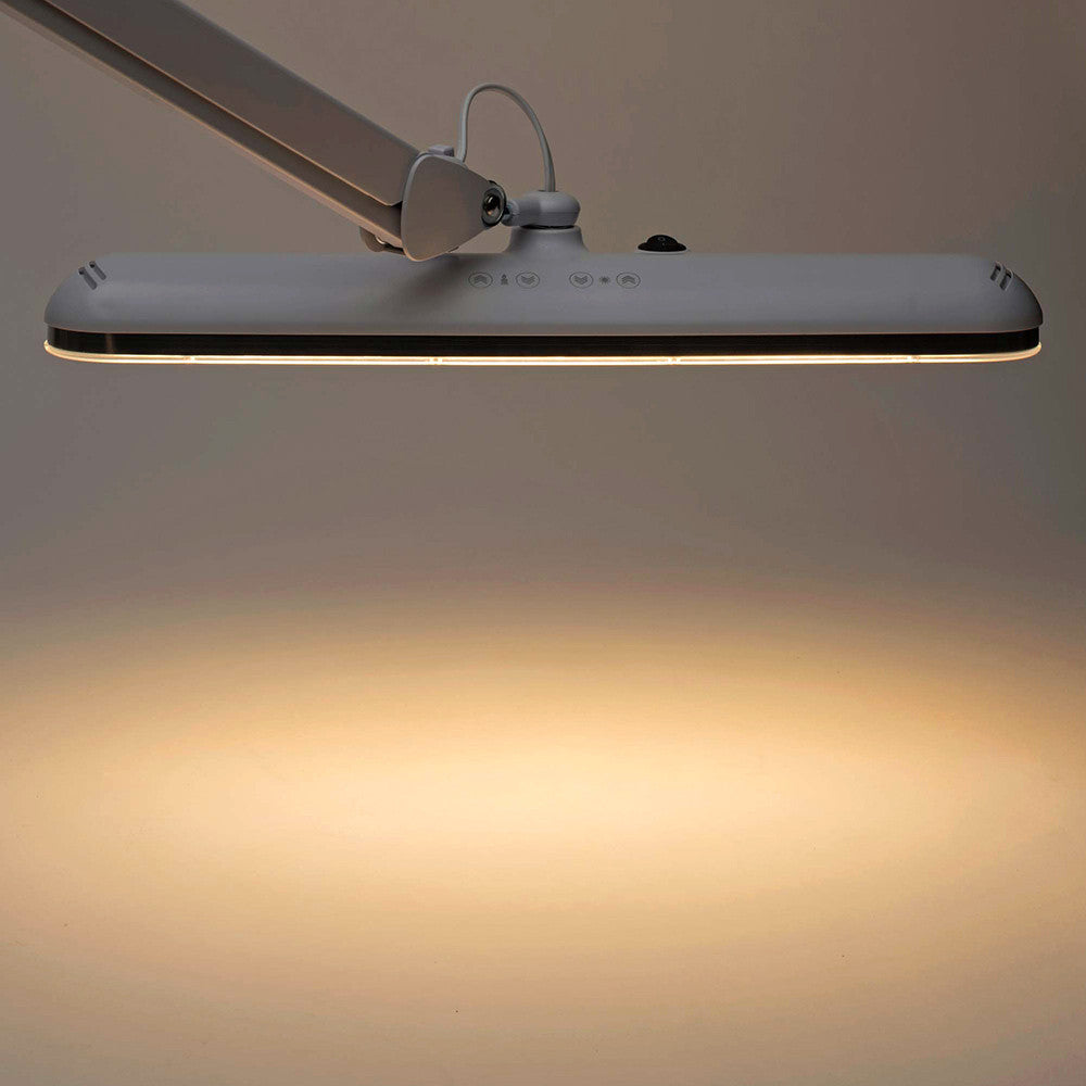 Professional Task Light