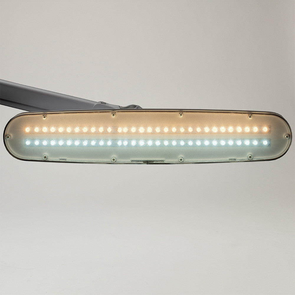 Professional Task Light