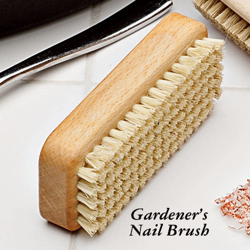 Gardener's nail brush
