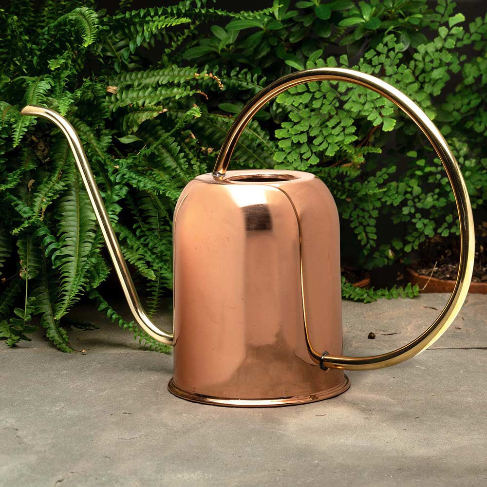 mini watering can for indoor plants Copper & Brass Indoor Watering Can