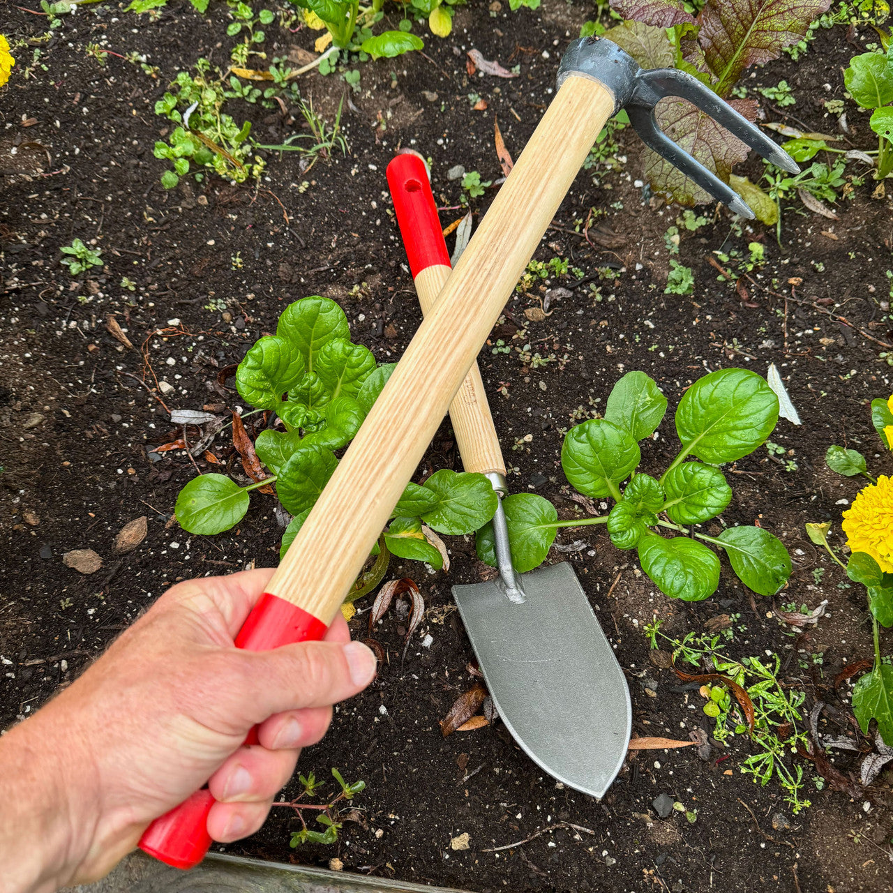 German Long Reach Planting & Weeding Pair