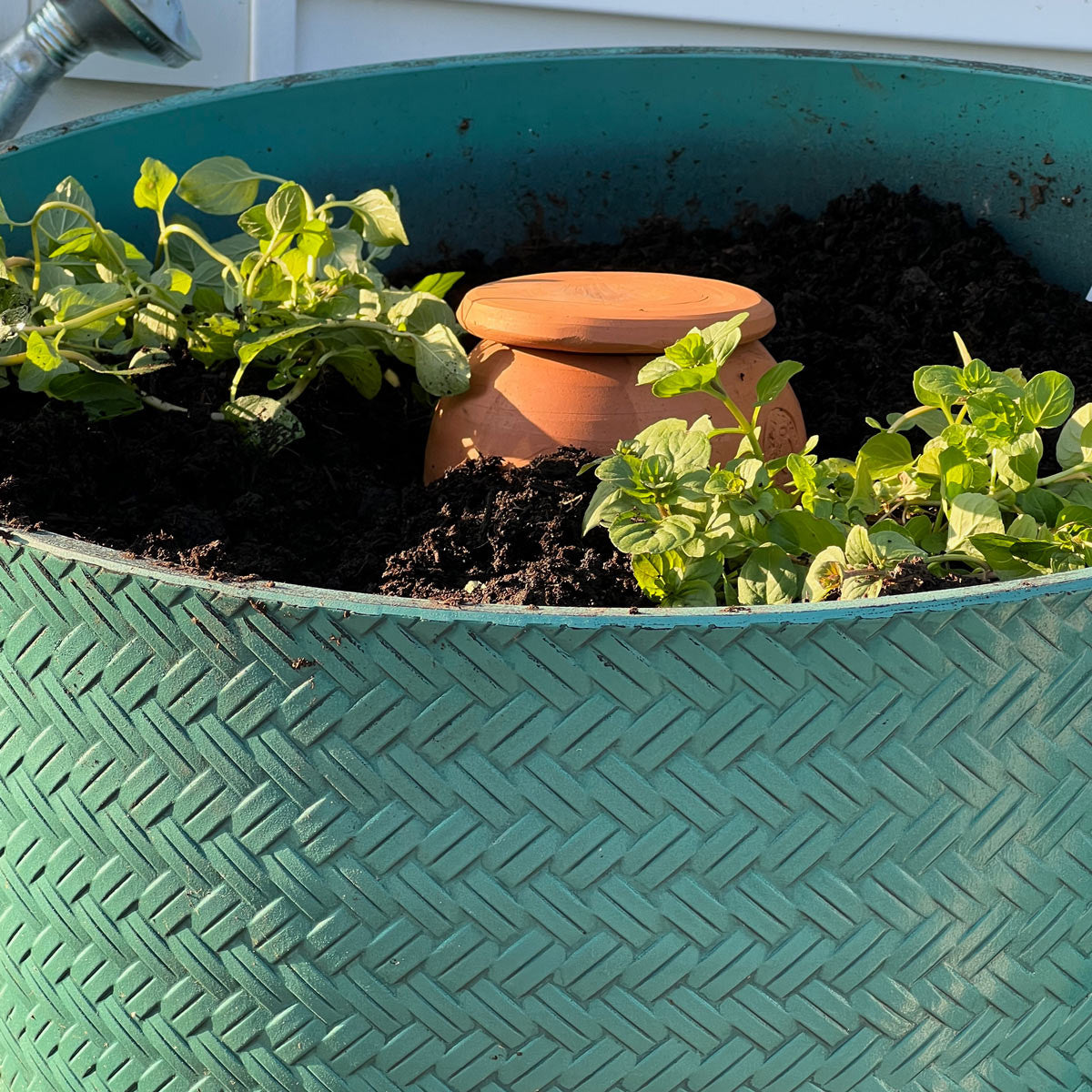 Medium Teardrop-Shaped Terracotta Container Plant Hydrator