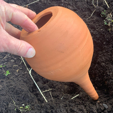 Medium Teardrop-Shaped Terracotta Container Plant Hydrator