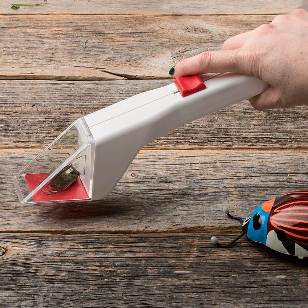 Sliding Trapdoor Insect Catcher