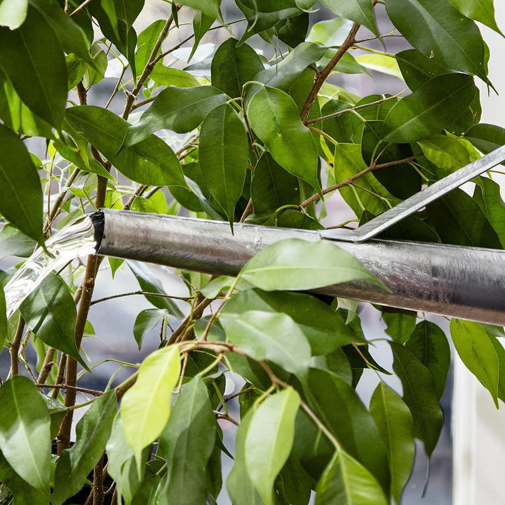 2-Gallon Oval Watering Can With Brass Rose