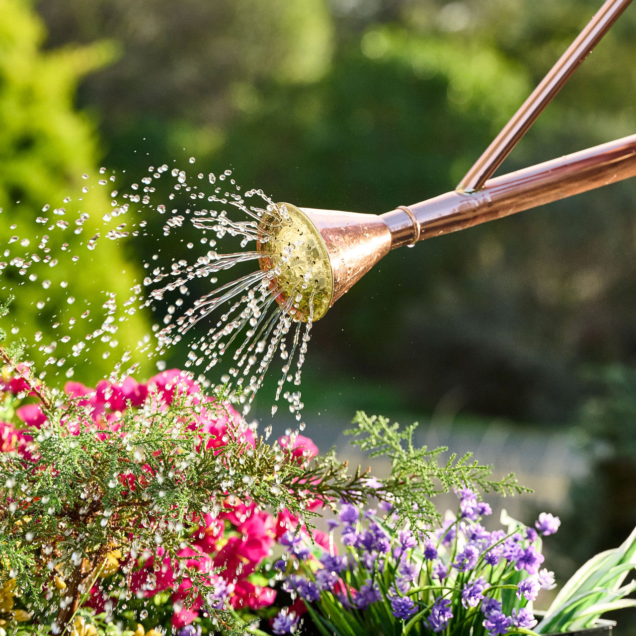 Solid Copper 2.5 Gallon Water Can