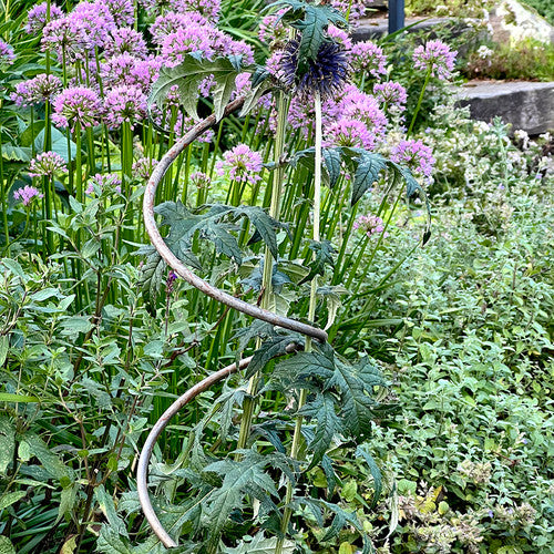 Spiral Plant Support