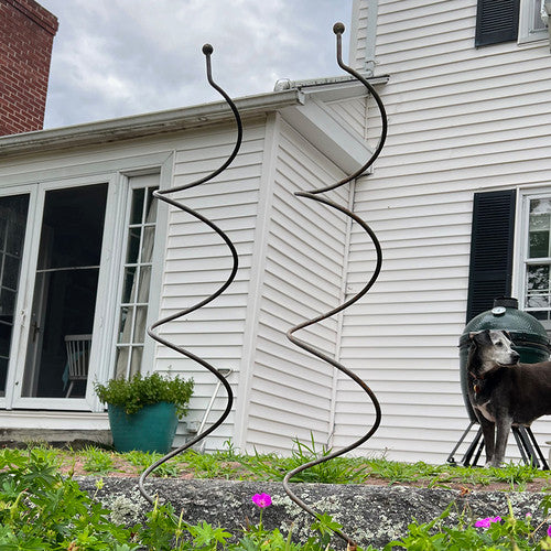 Spiral Plant Support