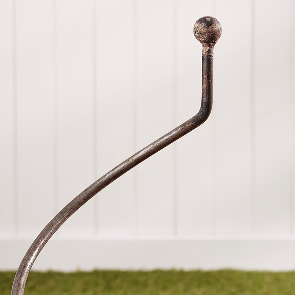 Spiral Plant Support