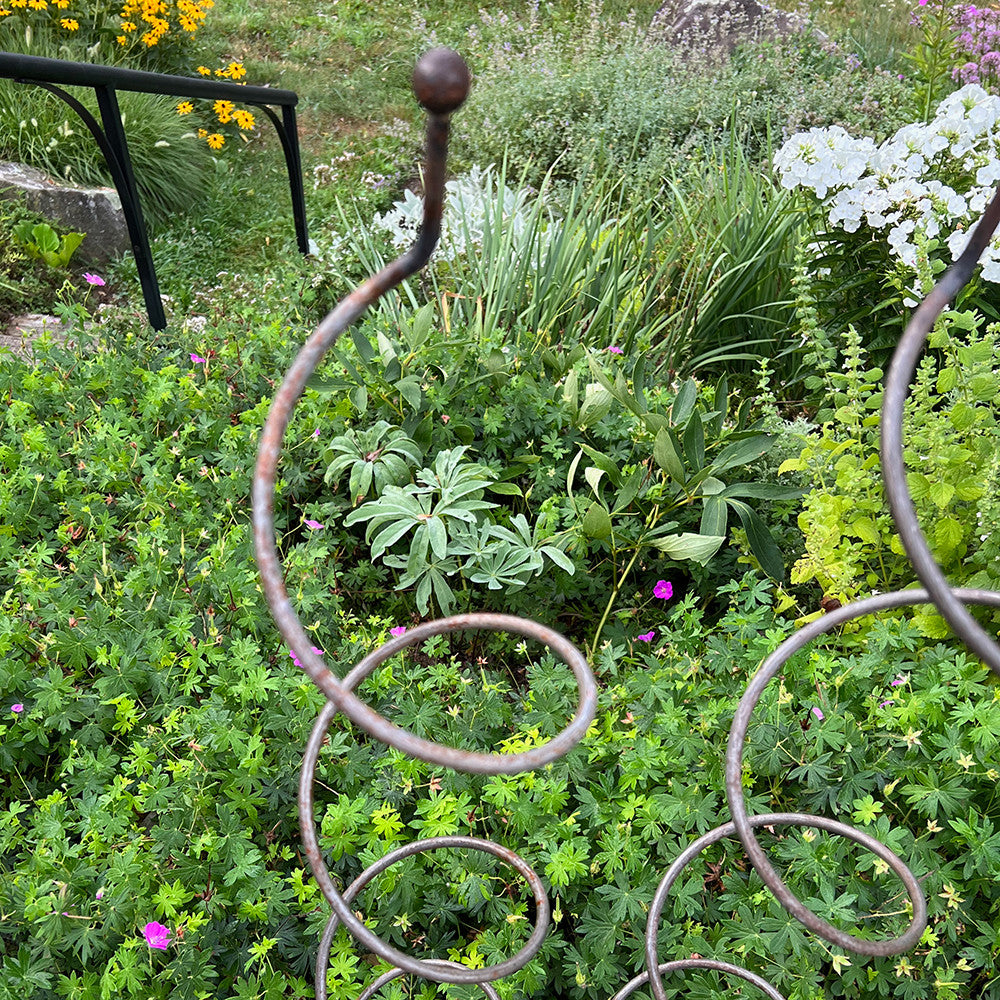 Spiral Plant Support