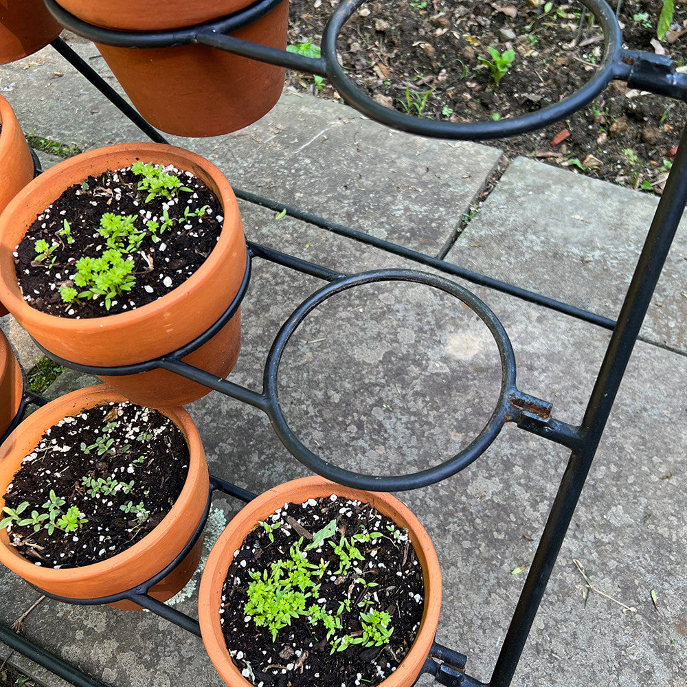 Plant stand for terracotta pots