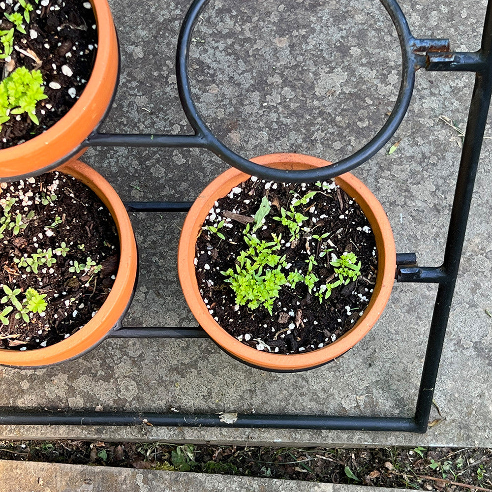 Plant stand for terracotta pots
