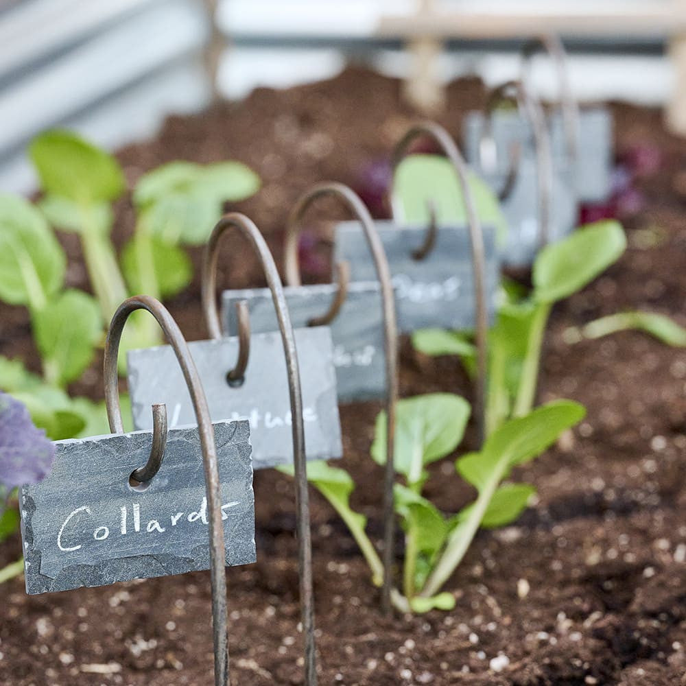 Slate Stone Garden Labels with Steel Stakes (6 pcs)
