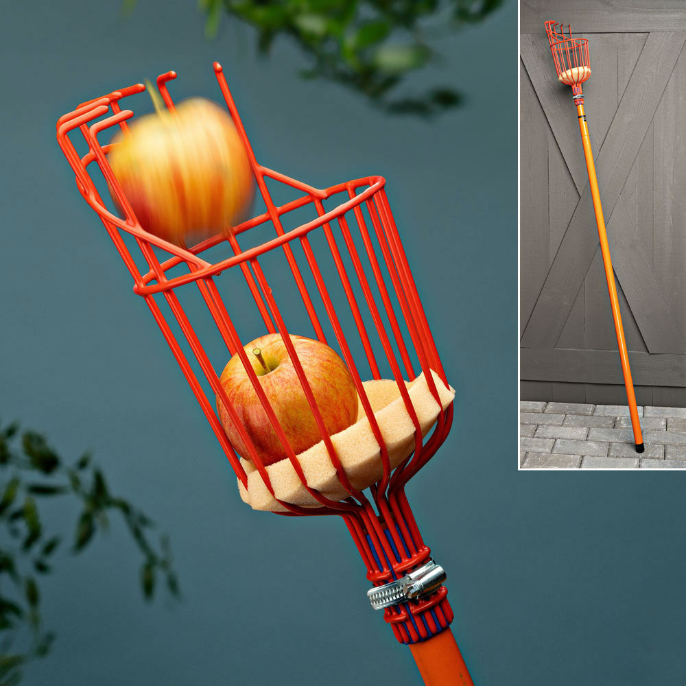 Reach the Tastiest Telescoping Fruit Basket