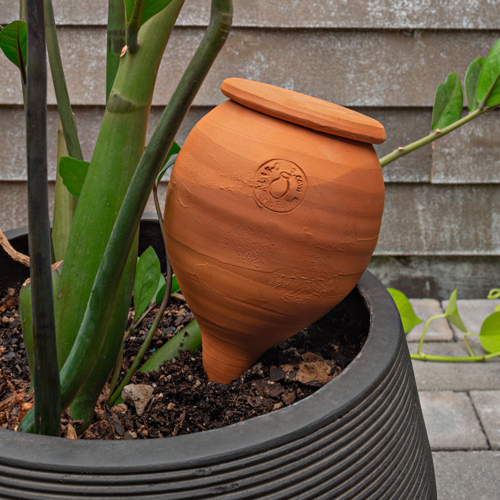 terracotta hydroponic planter Small Teardrop-Shaped Terracotta Container Plant Hydrator