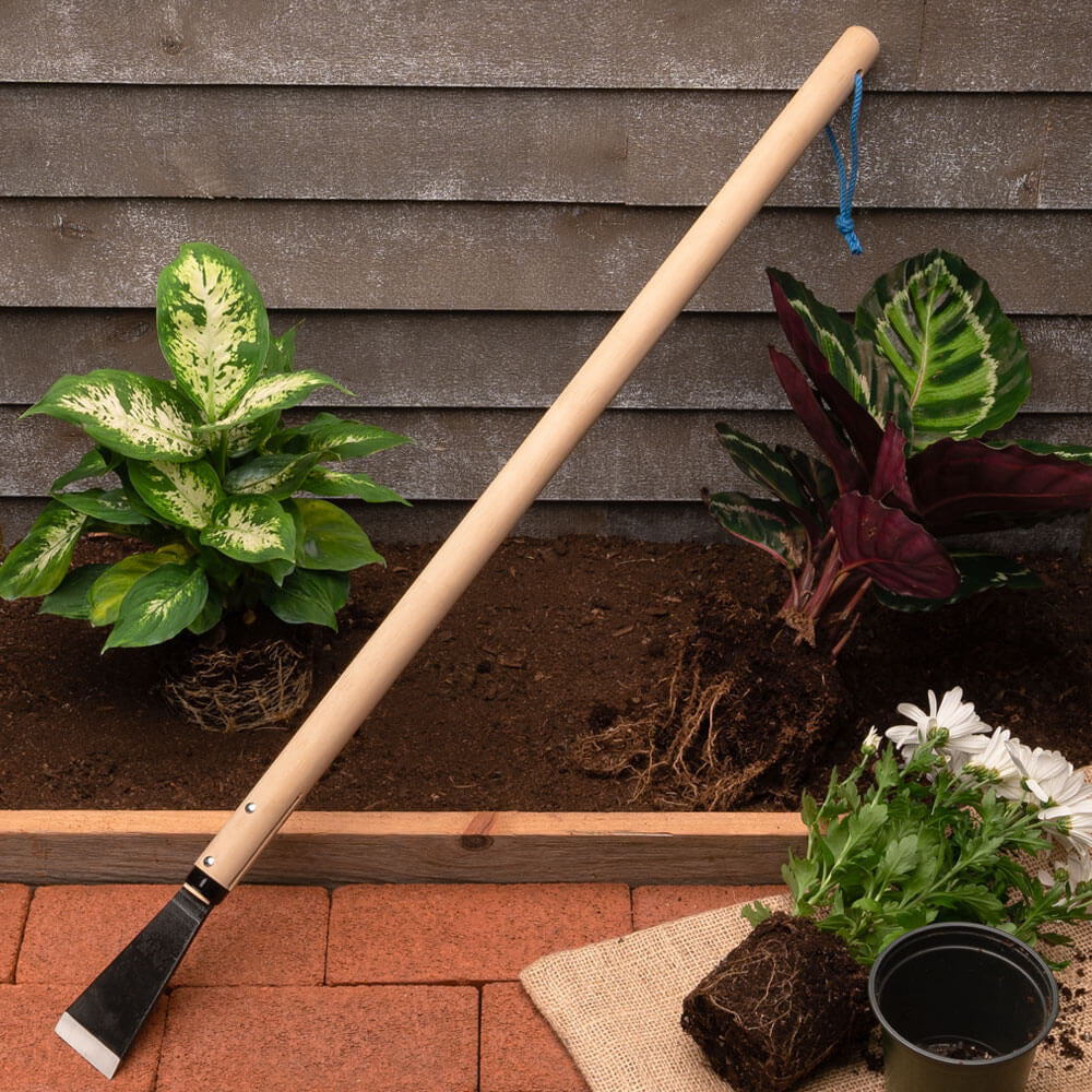 Soil Remover and Root Cutter