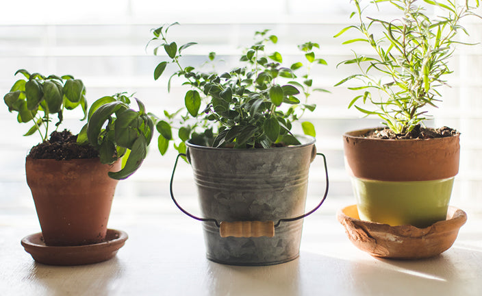 Spring is coming Get Ready Start Inside