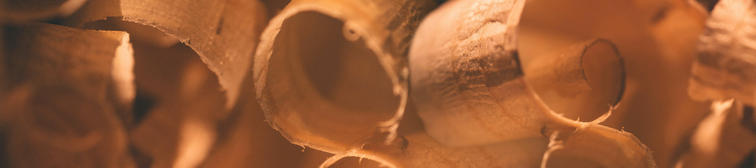 New Woodworking Tools