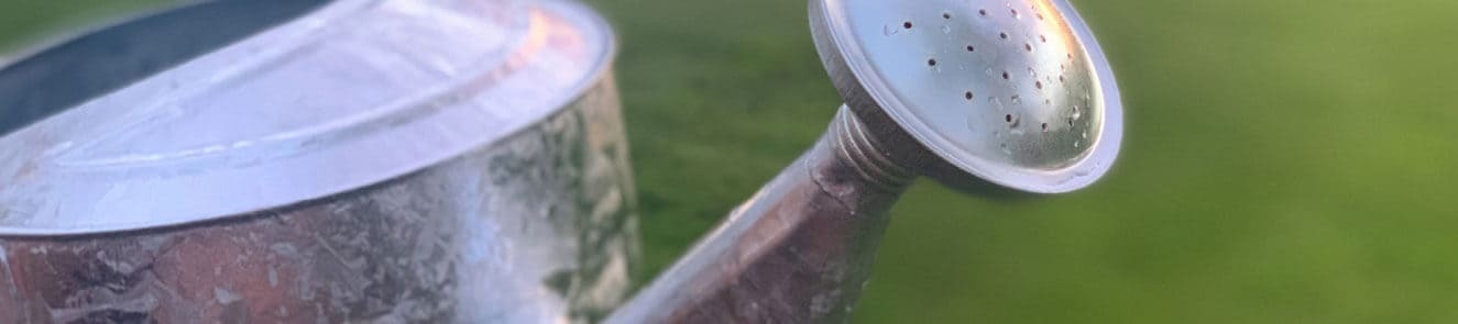 Watering Cans & Hydrators