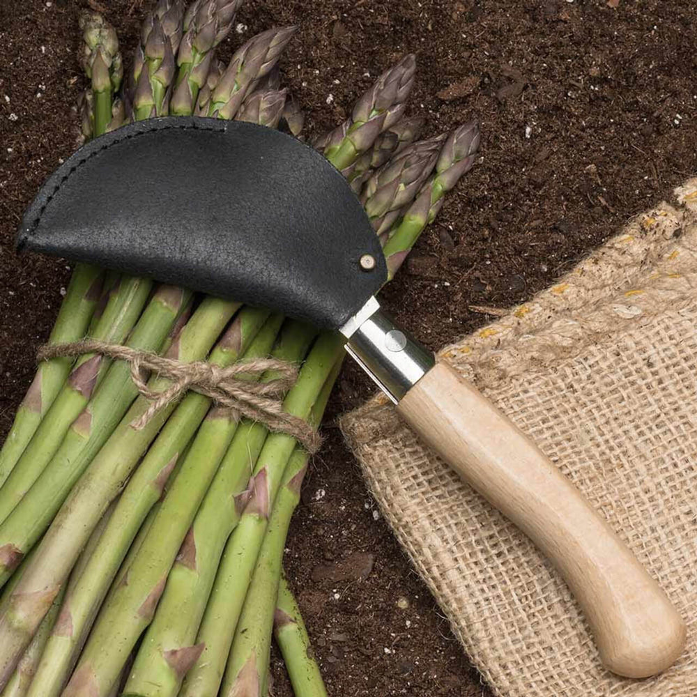 Harvesting Knife | Curved Garden Knife & Sheath | Shop Garrett Wade