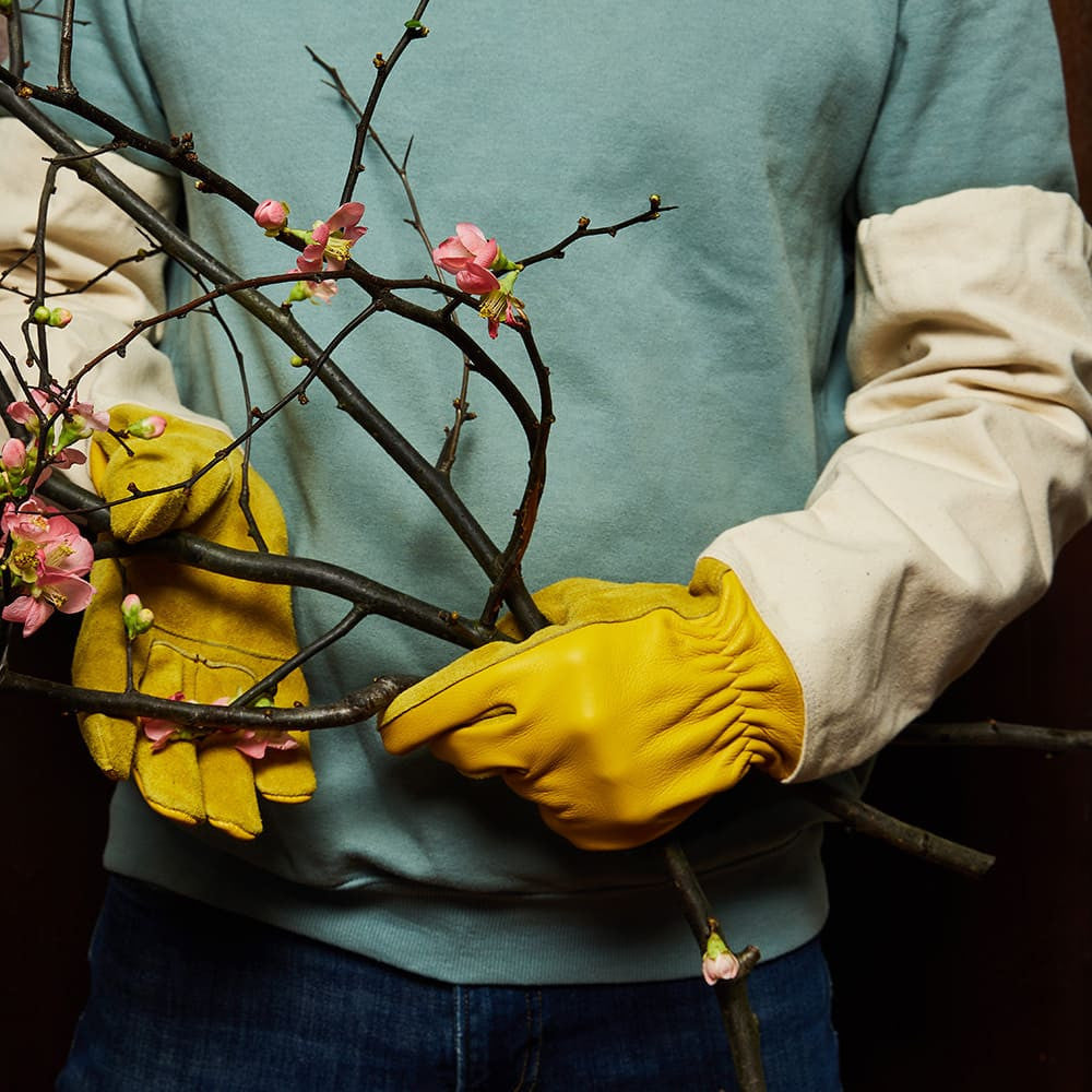 Heavy-Duty Bramble Gloves