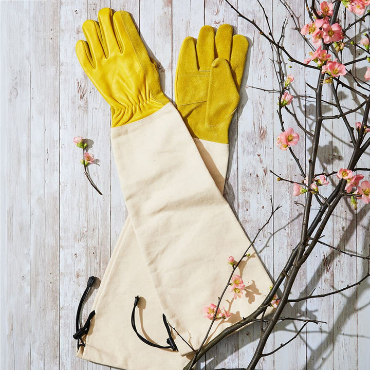 Gloves, Aprons & Totes