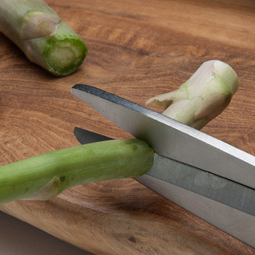 Super-Smooth Japanese Kitchen Scissors