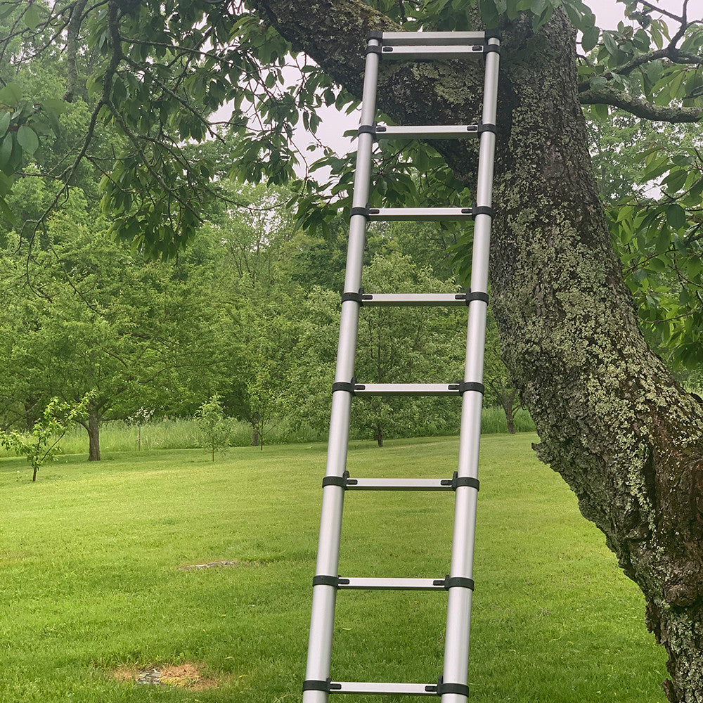12-1/2 ft Telescoping Ladder