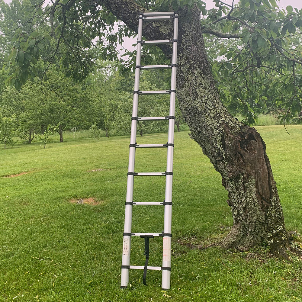 12-1/2 ft Telescoping Ladder