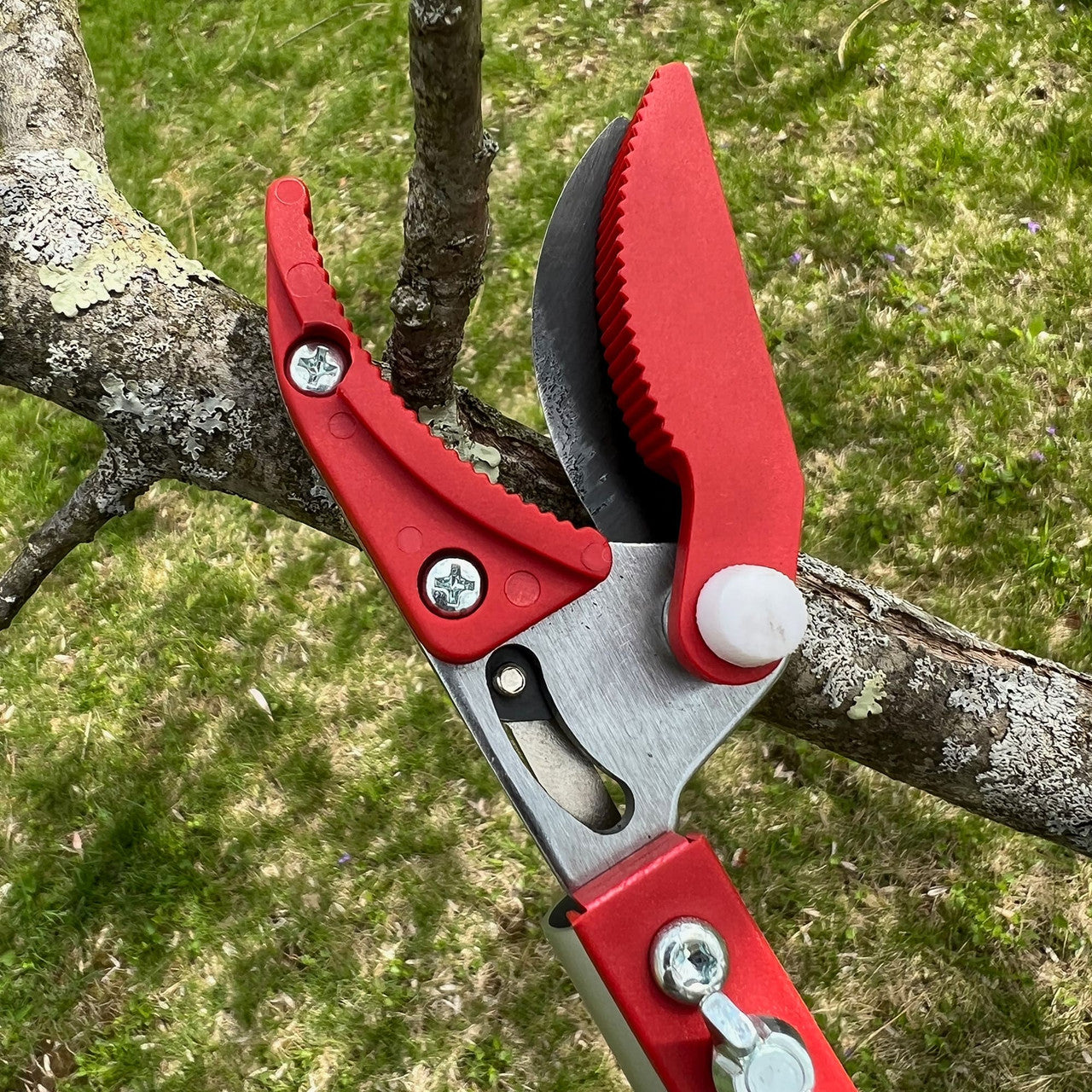 Extendable long reach pruner cutter