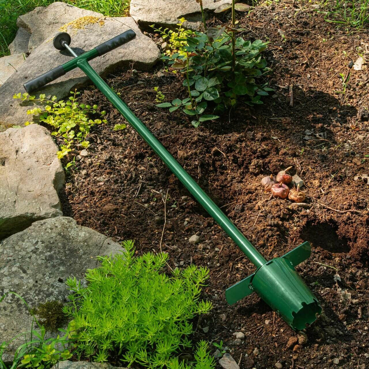 Stand-up Bulb Planter