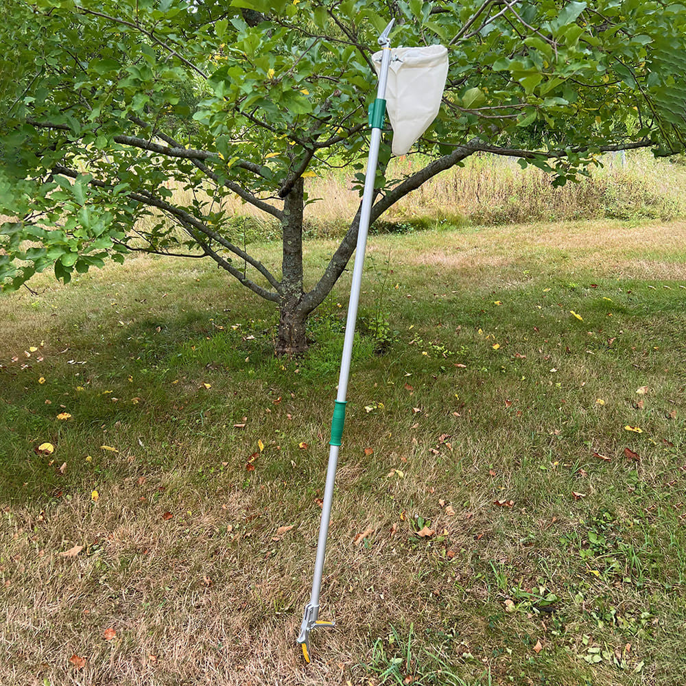 High Reach Fruit Picking Basket