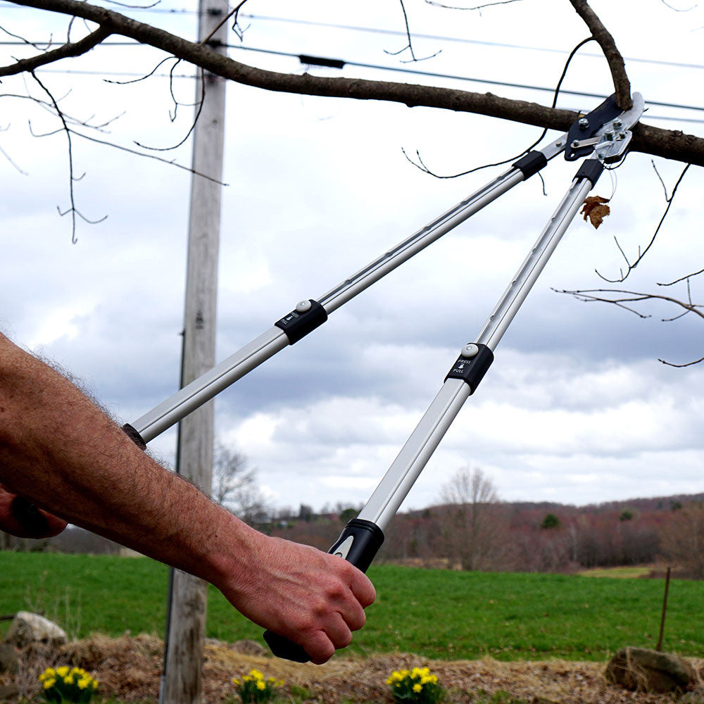 Premium Ratcheting Pruning Loppers