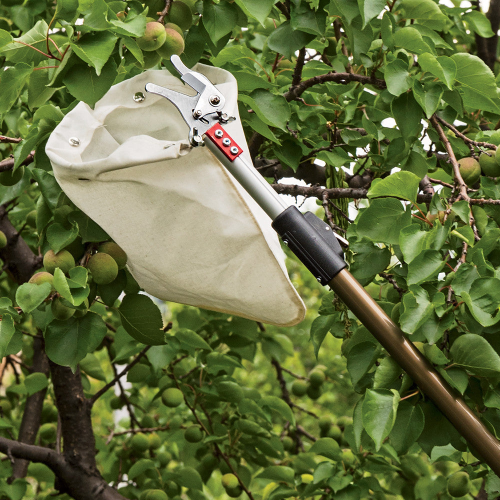 Telescopic Fruit Picker