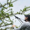 Arborist Long Reach Cutter/Trimmer - shrubs and branches